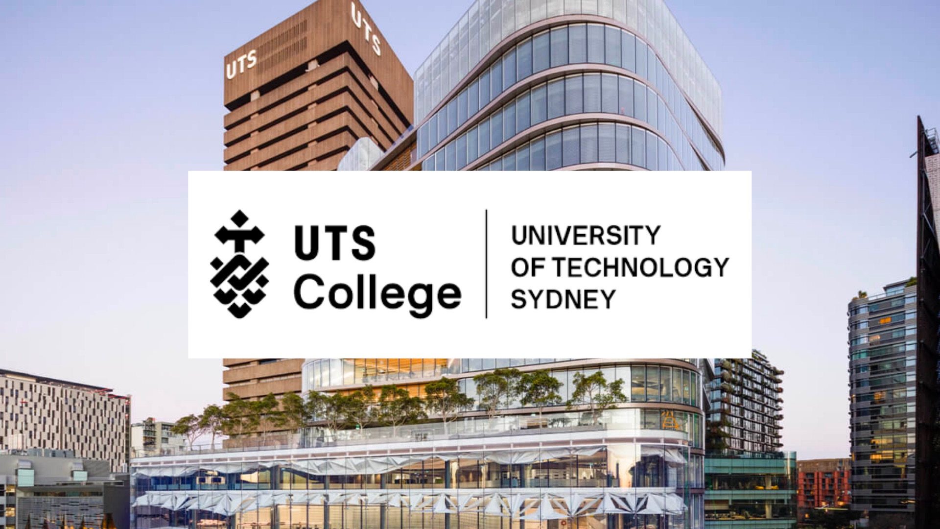 Khám phá UTS Insearch: Cầu nối trường đại học hàng đầu Úc